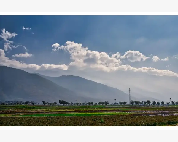 孩子喉咙发炎，吃什么好用？