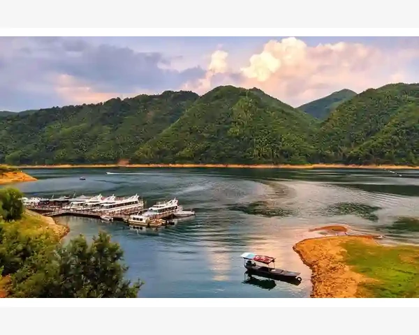 夏至养生：中医传统智慧的生机焕发